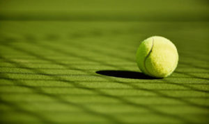 construction court de tennis en gazon synthétique à Poitiers