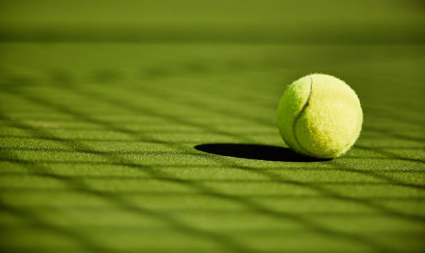 construction court de tennis en gazon synthétique à Poitiers